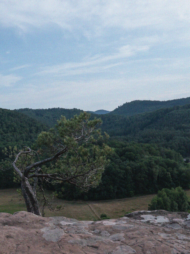 Souvenir des Vosges